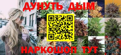 индика Балахна