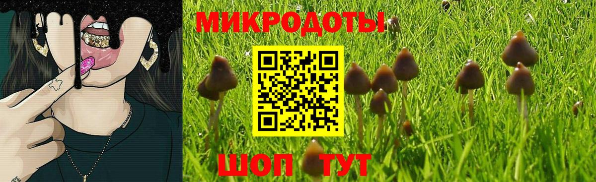 Галлюциногенные грибы GOLDEN TEACHER  Вход с VPN  Чайковский 